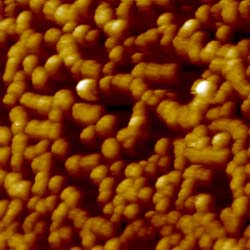 MCL-AFM image of 500nm diameter polystyrene beads